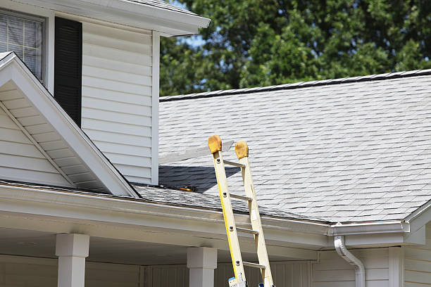 Affordable siding repair and maintenance services in Lakeview, CA
