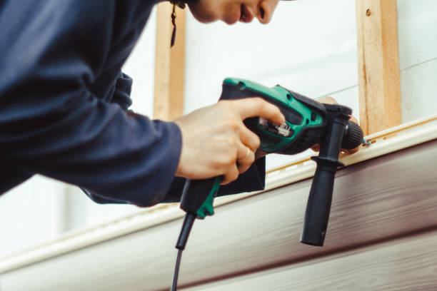 Best Residential Vinyl Siding Installation  in Lakeview, CA